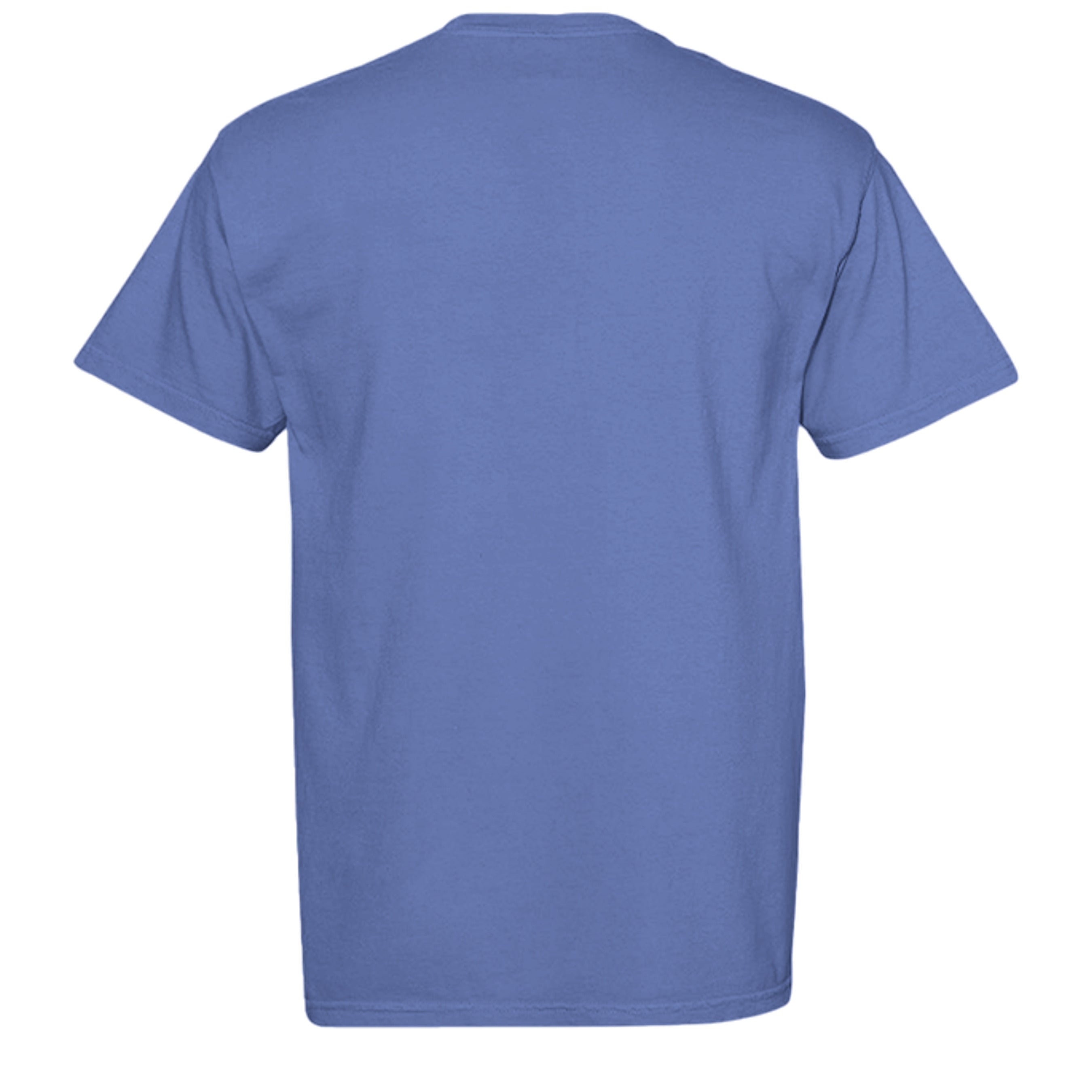 PERIWINKLE - C1717 - BACK