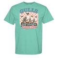 CHALKY MINT - C1717 - FRONT
